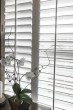 a picture of Plantation Shutters in Sydney