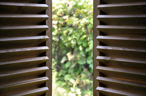 Timber blinds online, Image by Shutters Australia